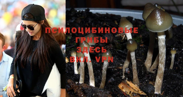 не бодяженный Аркадак